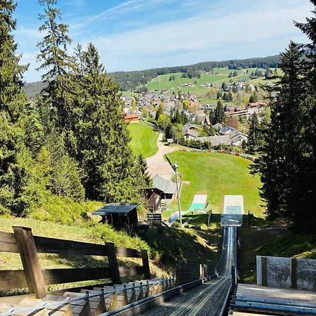 Kleine Auszeit Apartment Schoenwald im Schwarzwald
