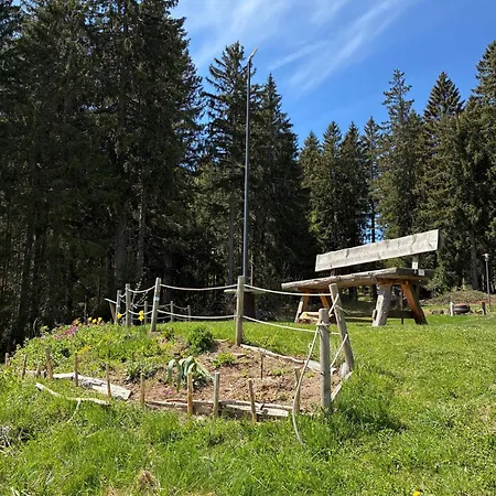 Apartment Kleine Auszeit Schoenwald im Schwarzwald